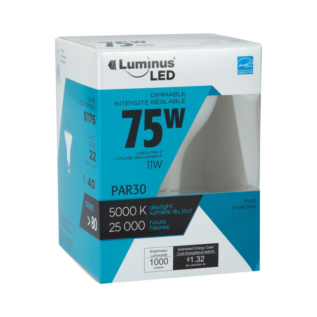 Light Bulb LED, Par30, 5000k, 1/Pack