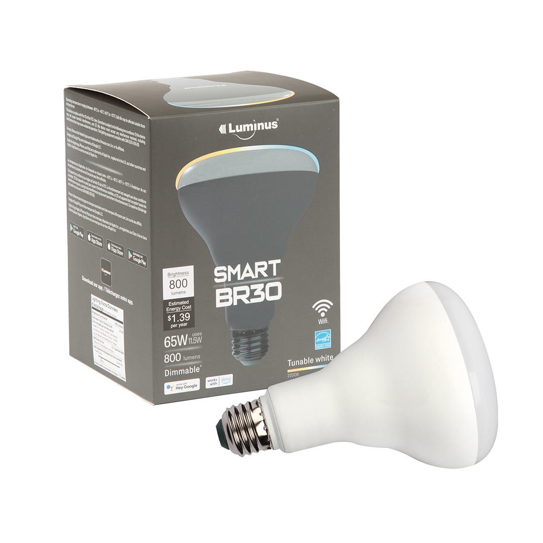 Light Bulb LED, Br30, 1/Pack