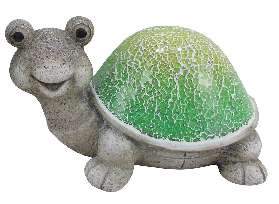 Green turtle.