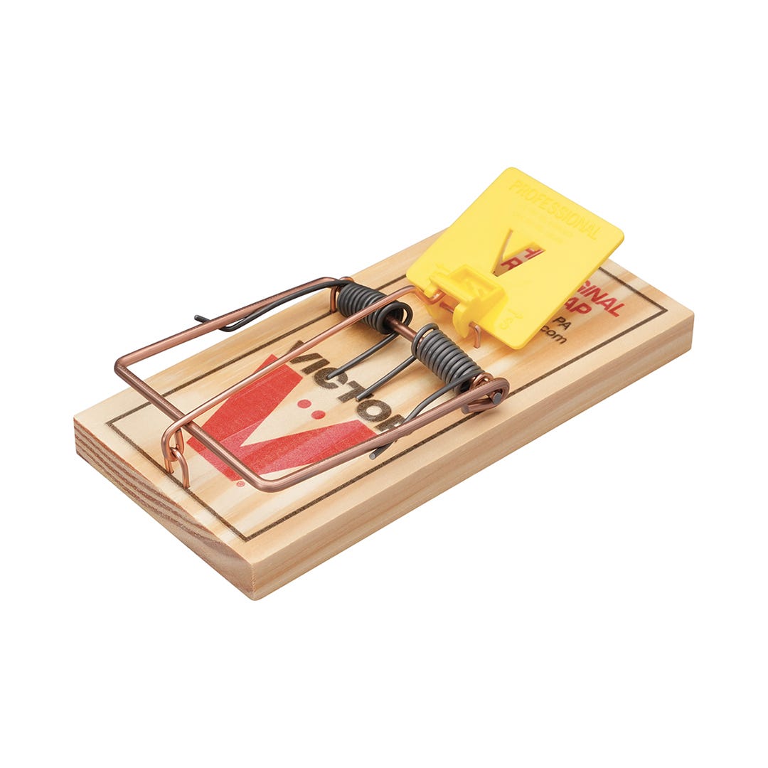 EASY SET Rat Trap