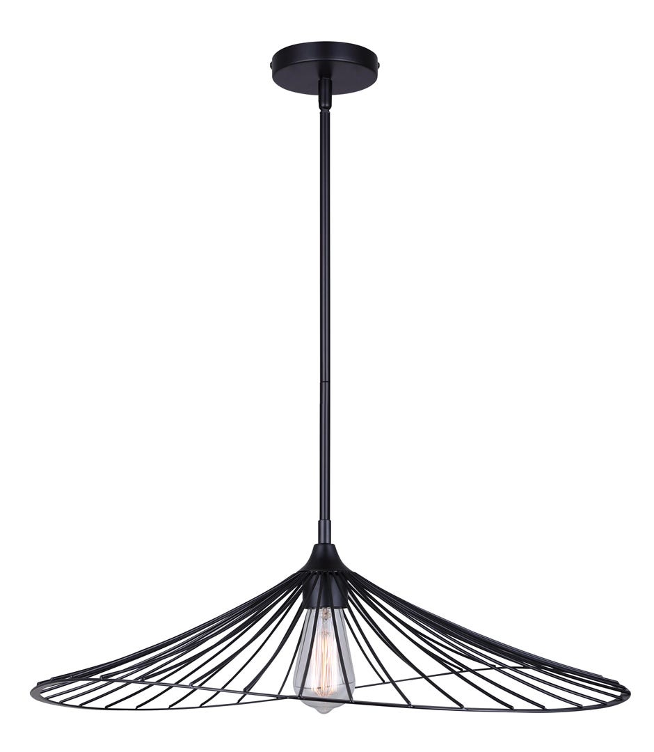 TEKAPO Pendant with 1 light