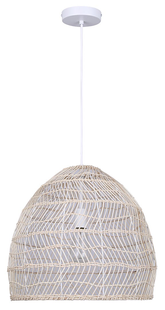ALOCASIA 1-Light Pendant Light