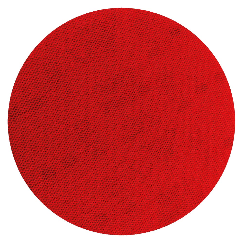 SandNET Discs, 5 in., 100 grit, 10/Pack