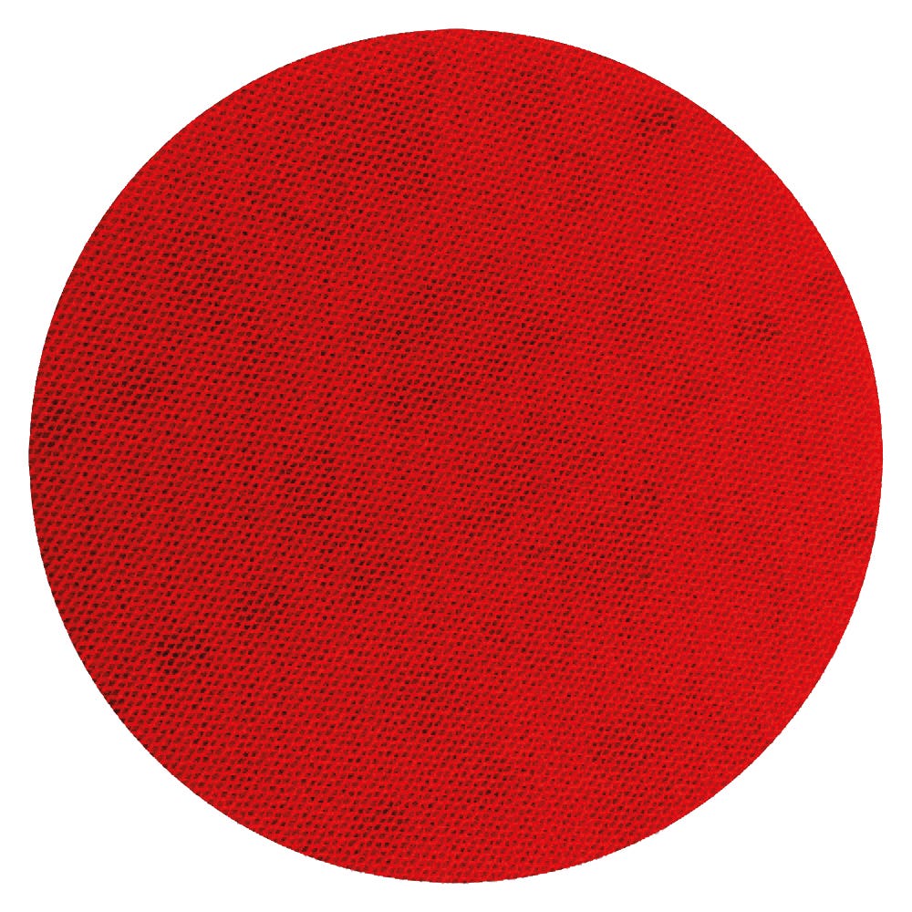 SandNET Discs, 5 in., 220 grit, 10/Pack