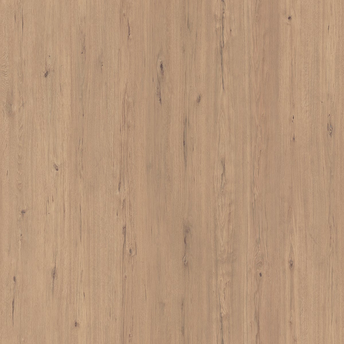Laminated Floor, 10 mm, AC4, Scala