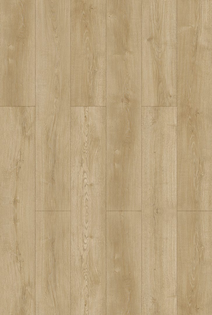 COMBO Laminated Flooring, 12.3 mm, AC3, Eva Bellini