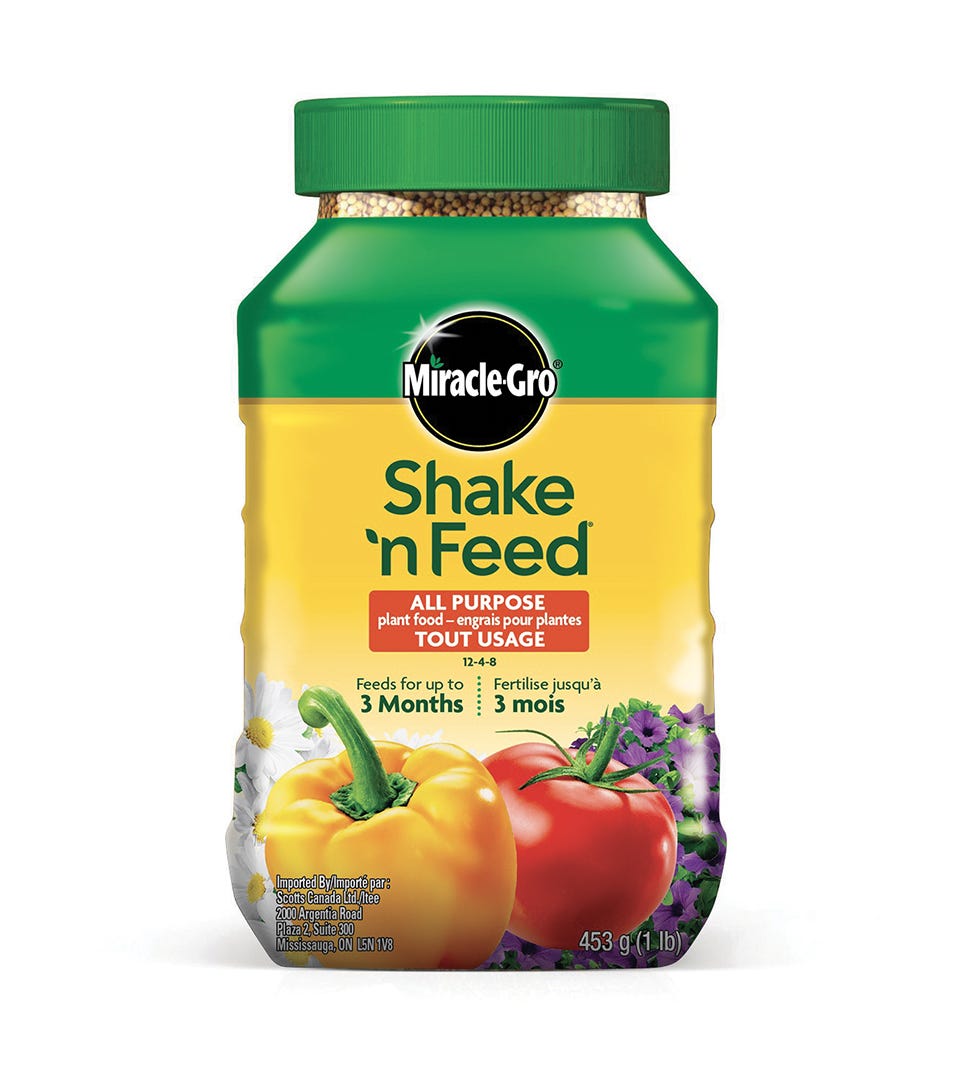 MIRACLE-GRO SHAKE N FEED All Purpose Plant Food, 12-4-8, 453 g