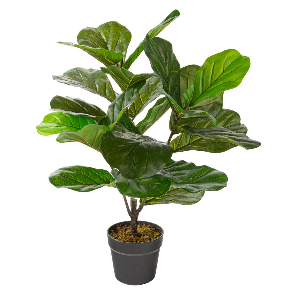 Artificial Ficus Lyrata In Black Pot, 27  in.