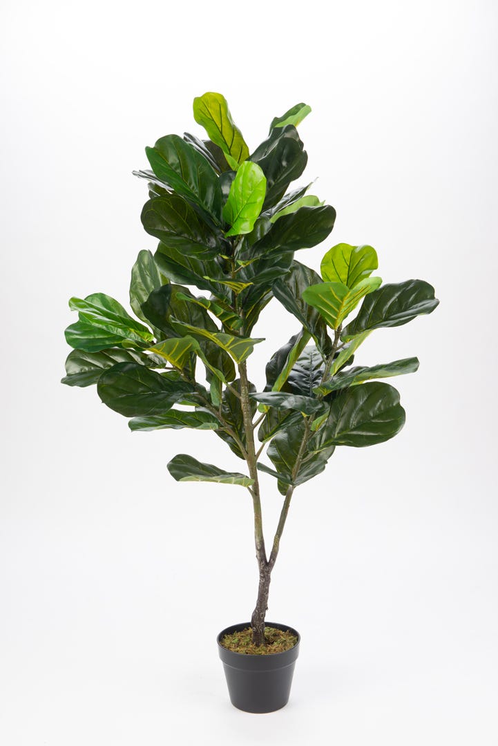Artificial Ficus Lyrata In Black Pot, 49  in.