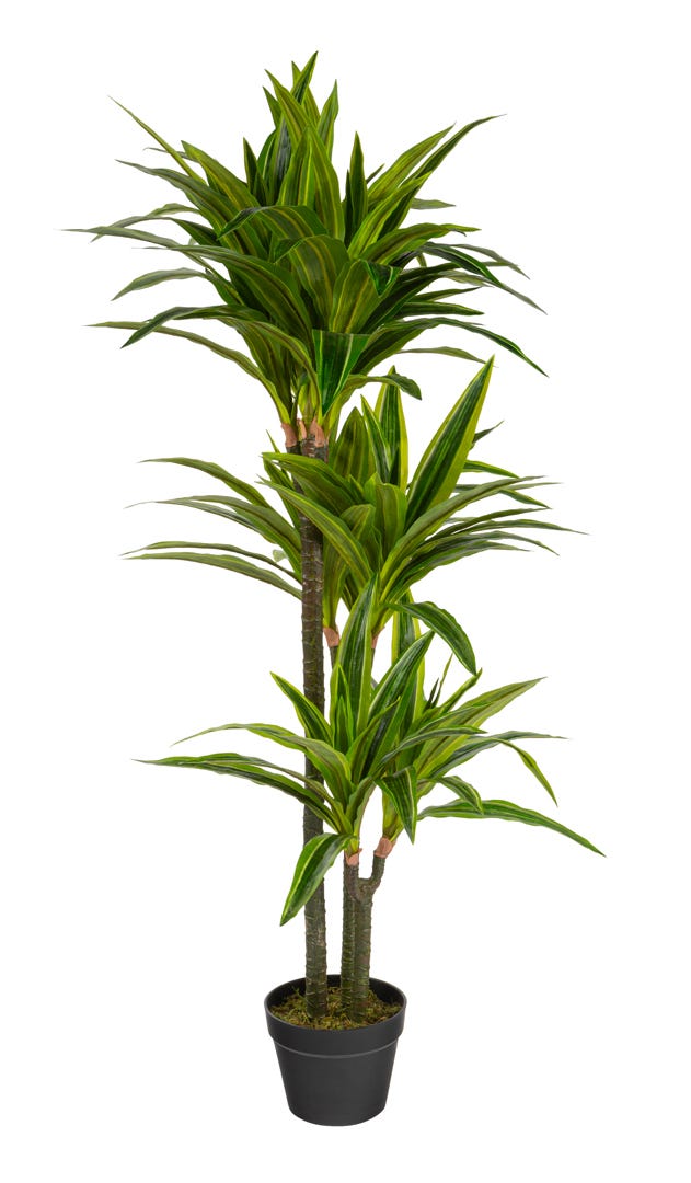 Artificial Dracaena In Black Pot, 47  in.