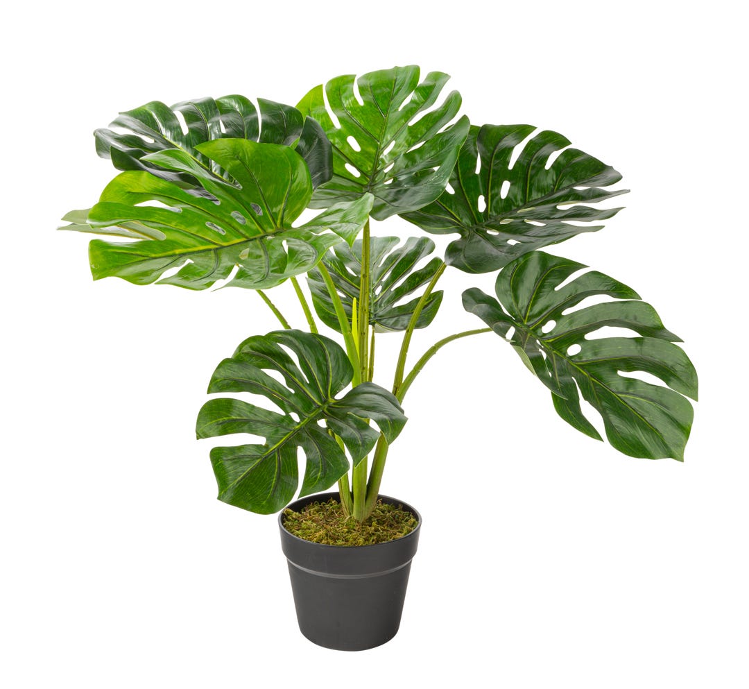Artificial Monstera In Black Pot, 23  in.