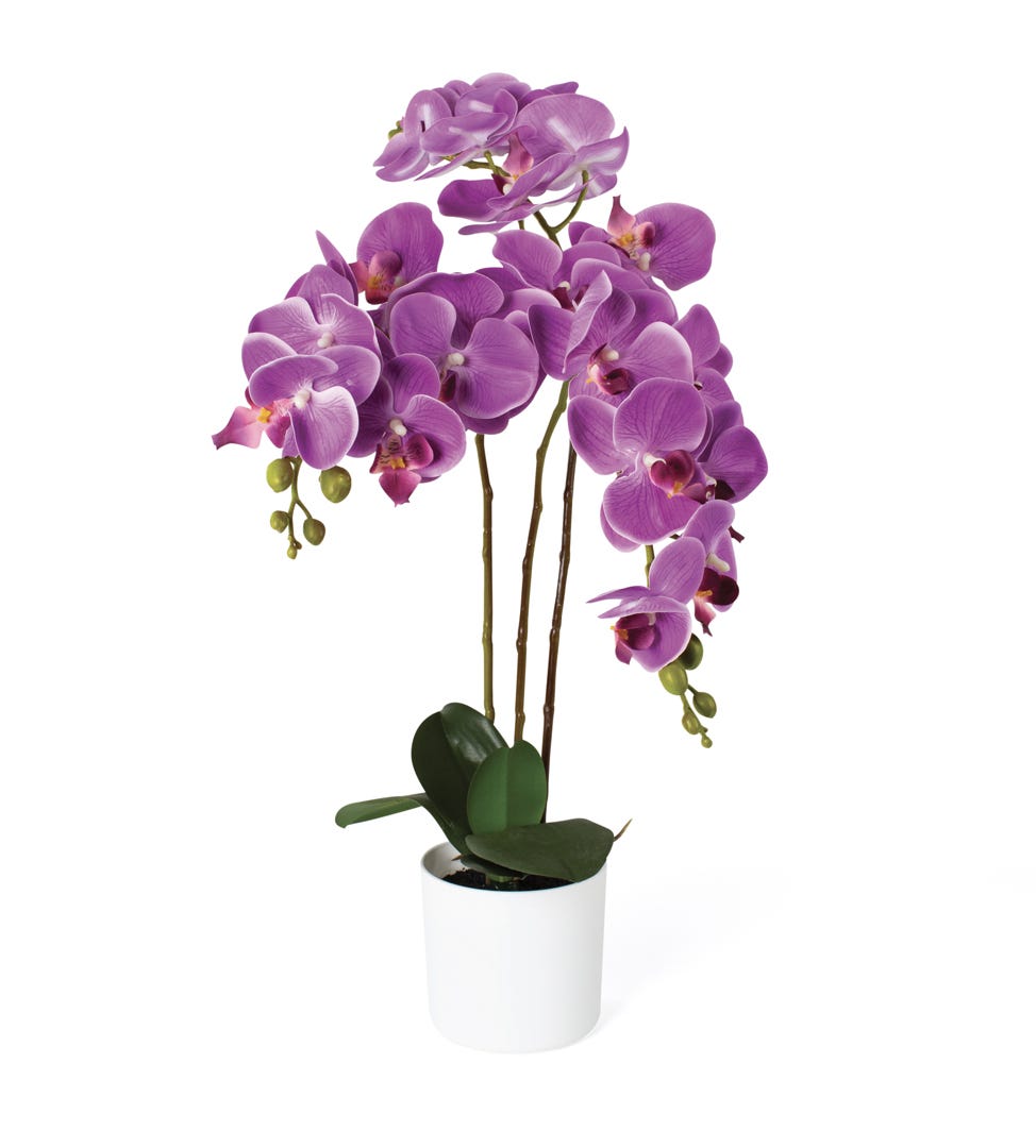 Artificial Pink Orchid In White Pot, 21  in.