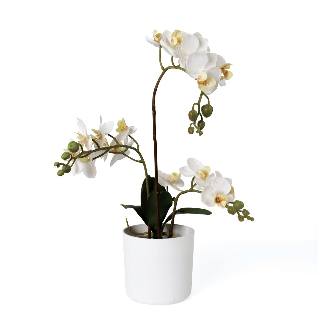 Artificial White Orchid In White Pot, 17  in.