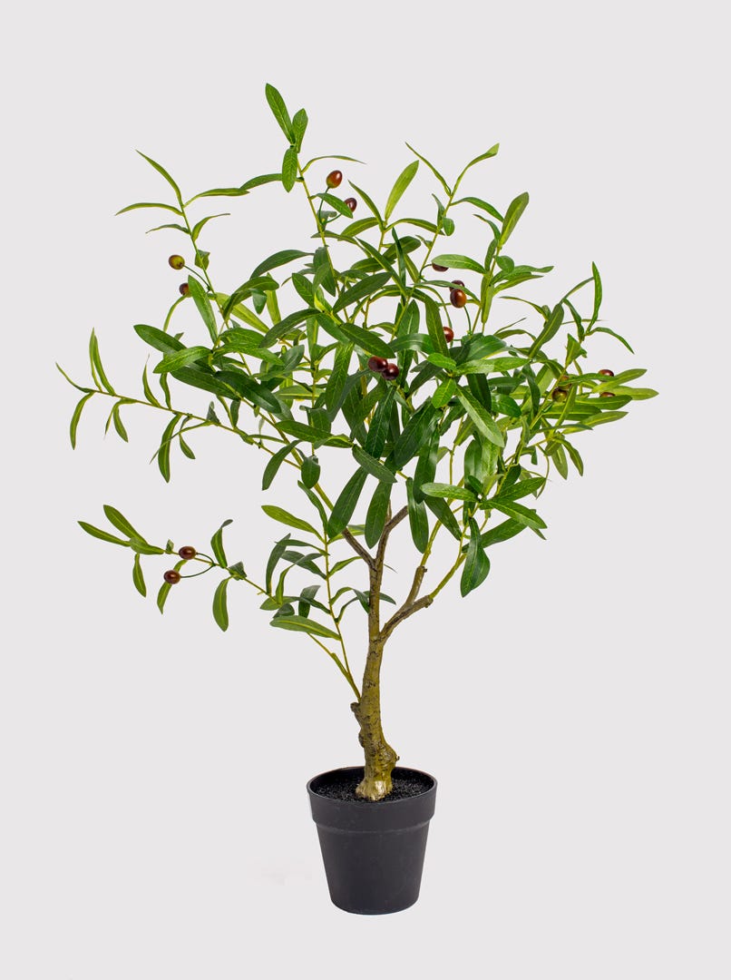 Artificial Olive Tree In Black Pot, 33  in.