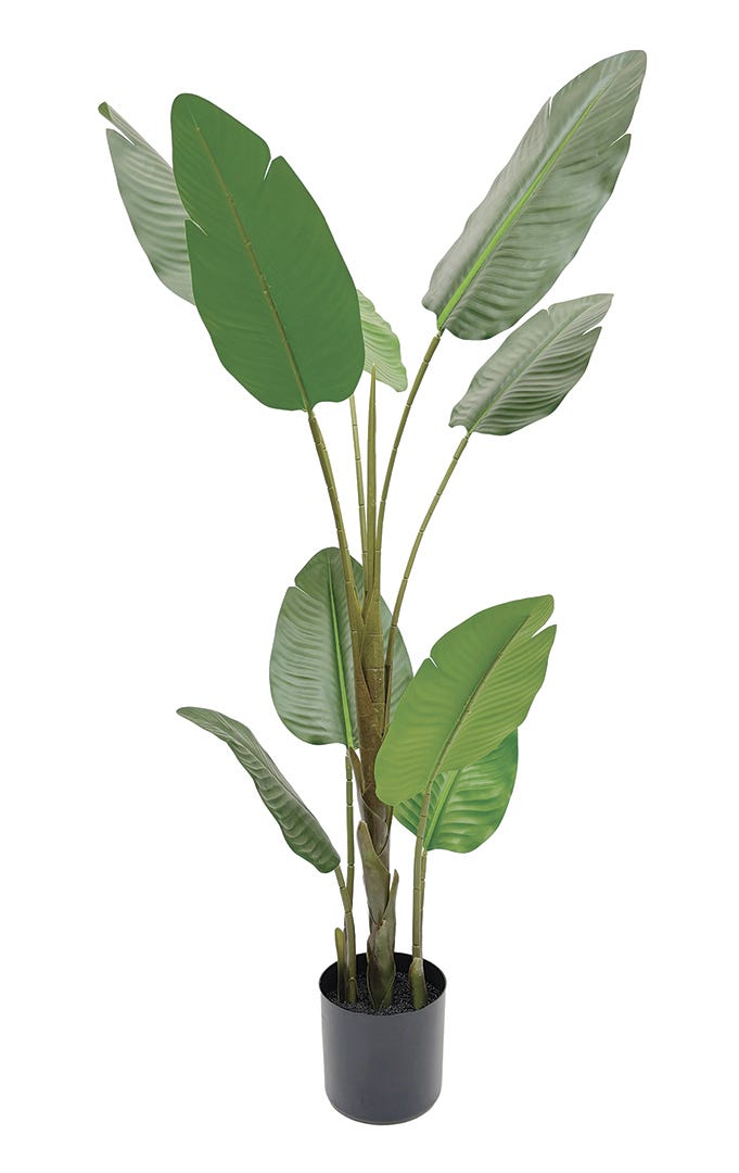 Artificial Bird Of Paradise For Indoor & Outdoor Use In Black Pot, 45  in.