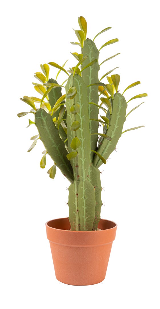 Artificial Candelabra Cactus In Terracotta Pot, 25  in.