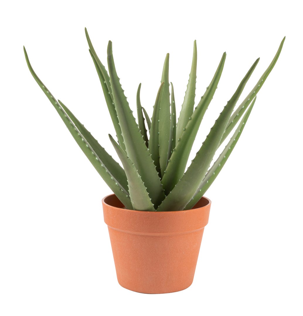 Artificial Aloe Vera In Terracotta Pot, 17  in.