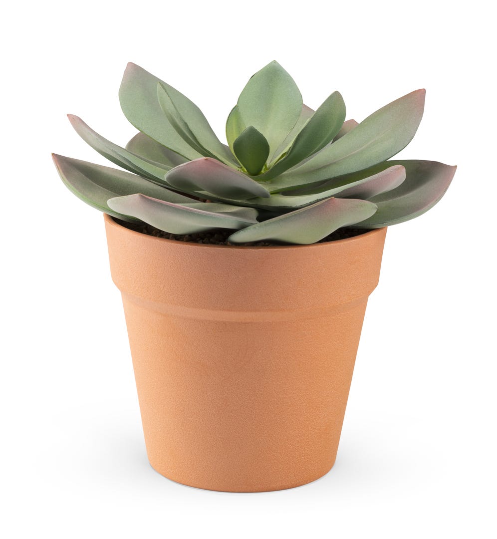 Artificial Echeveria In Terracotta Pot, 7  in.