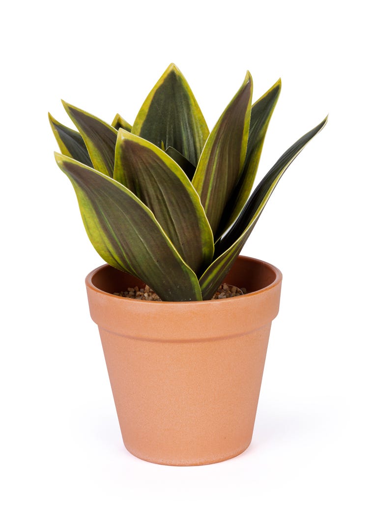 Artificial Sansevieria In Terracotta Pot, 9  in.