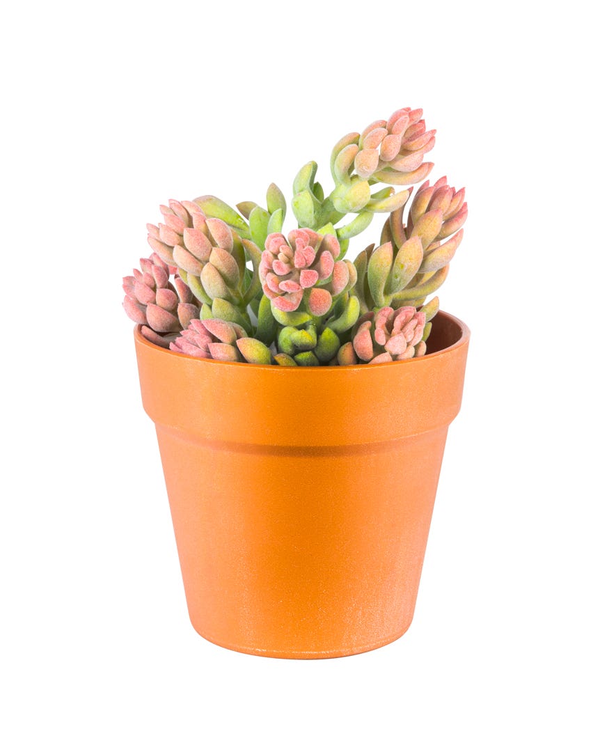 Artificial Sedum In Terracotta Pot, 10  in.