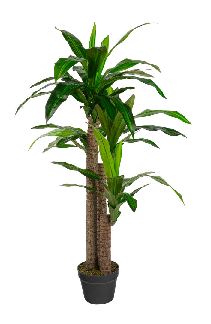 Artificial Dracaena In Black Pot, 49  in.