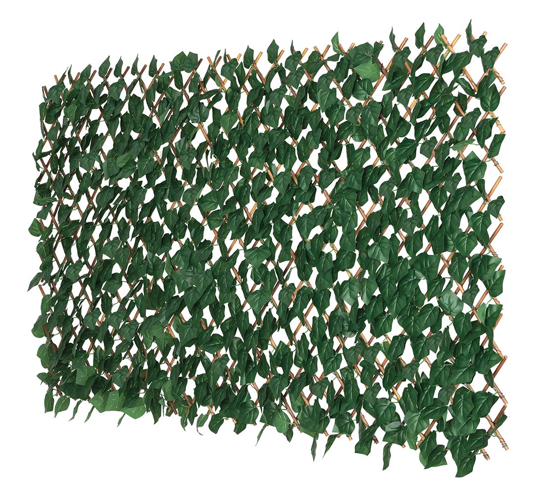 Bamboo Trellis with Ivy Leaves, 36 in. x 72 in.