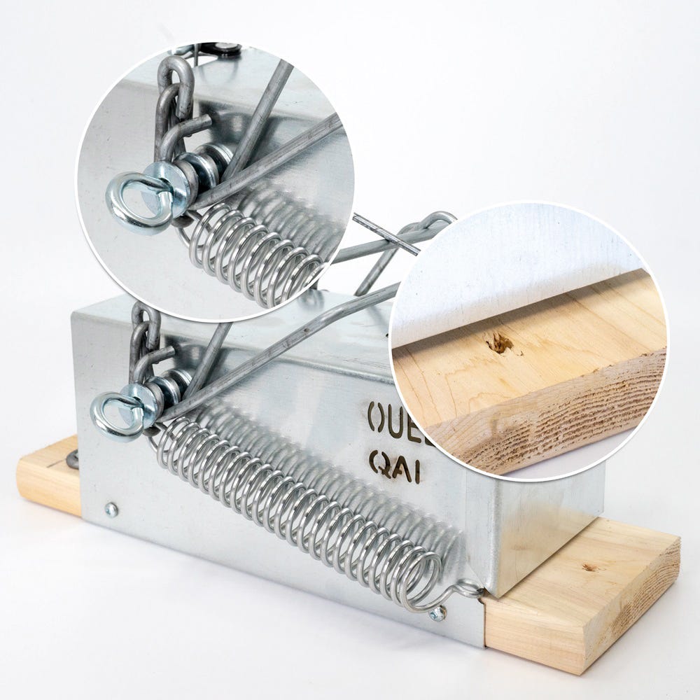 Ouell 4-11, Traps for big squirrels