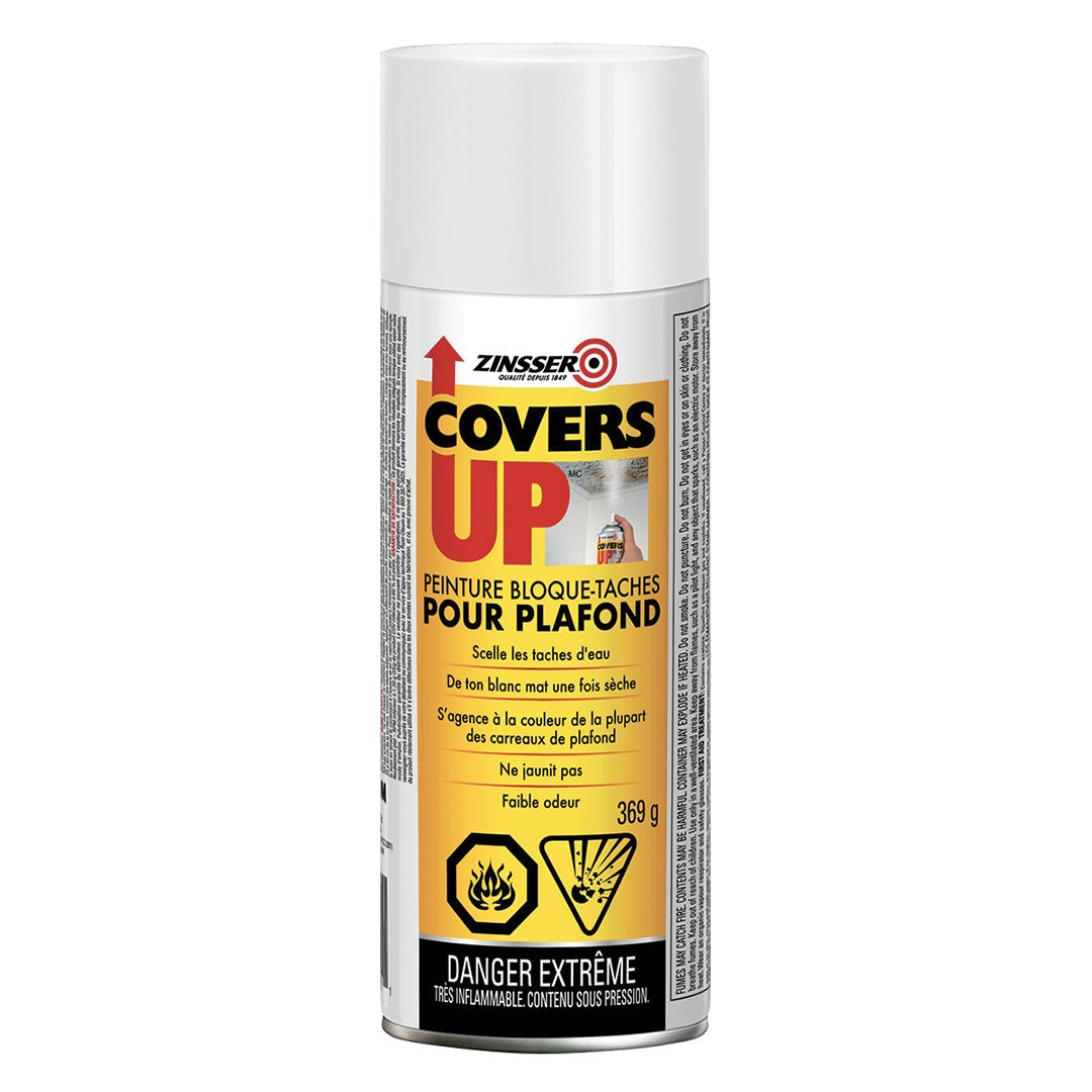 ZINSSER COVERS UP Ceiling Stain-Blocking Paint, 369 g, White