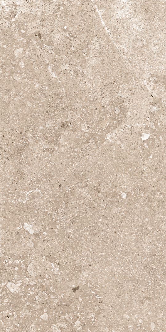 PORTLAND Porcelain Tile, 11.8 in. x 23.6 in., Matte Cappuccino