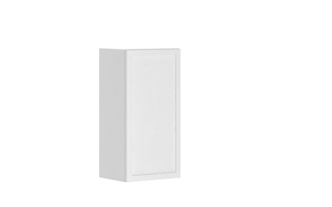 Wall Cabinet, 1 Door, 15 in. x 30.25 in., Polar White