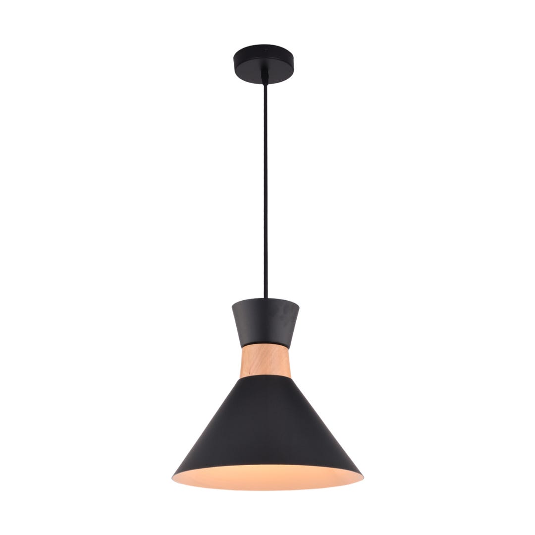 FOSTER Pendant Fixture, 1 Lamp, black