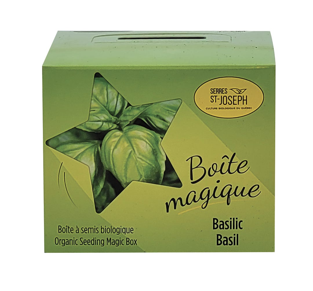 Magic Box for Organic Seedlings, Basil