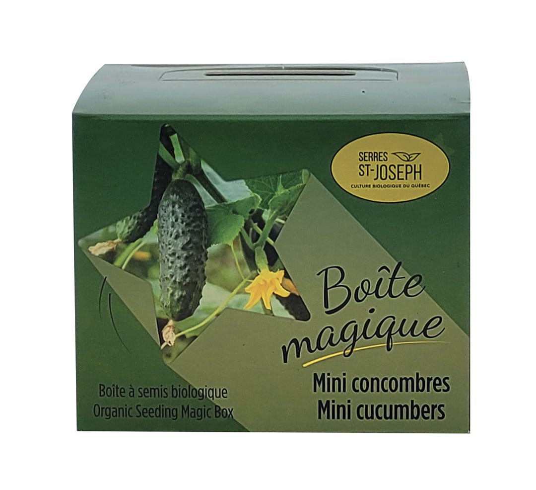 Magic Box for Organic Seedlings, Mini-Cucumbers
