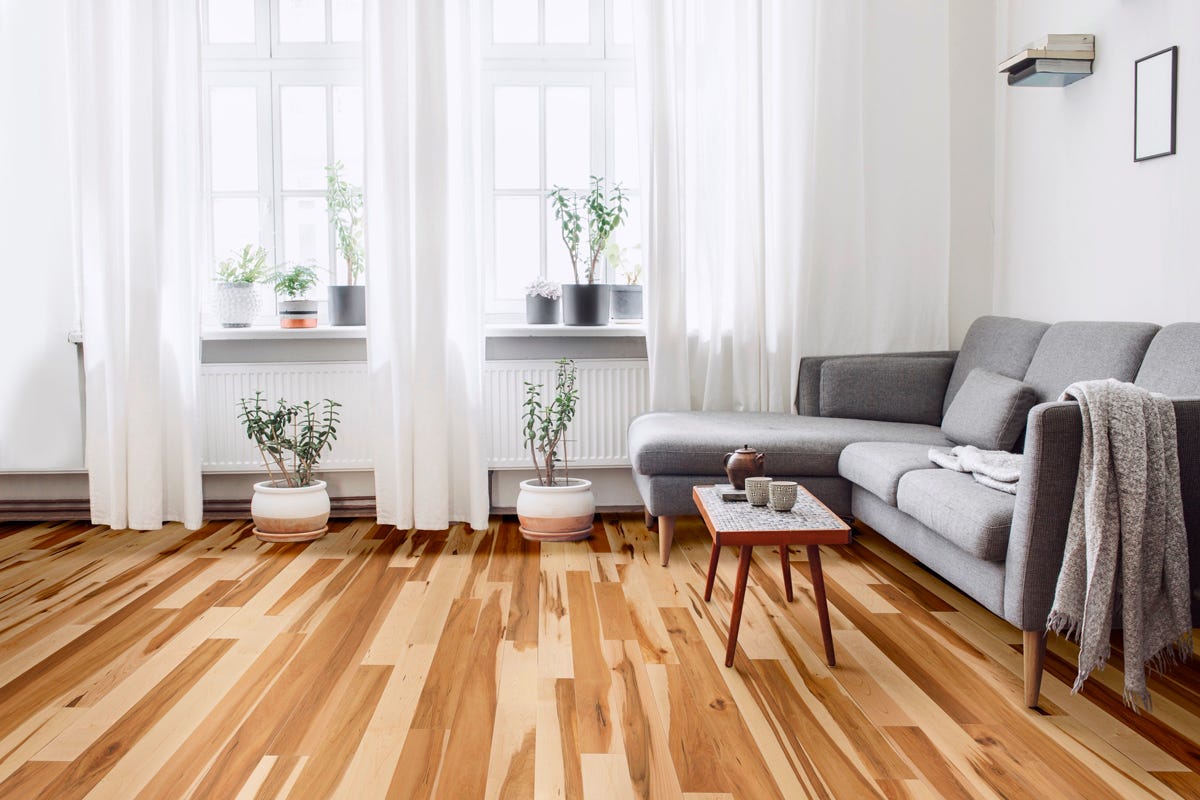 Hardwood Flooring, Authentic Maple, 3-1/4 in., Natural Matte