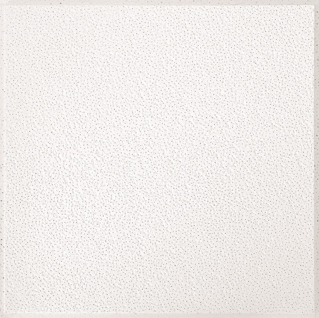 16-Piece 266 Brighton Single Raised Ceiling Tile, 24-in. X 24-in. X 1/2-in.