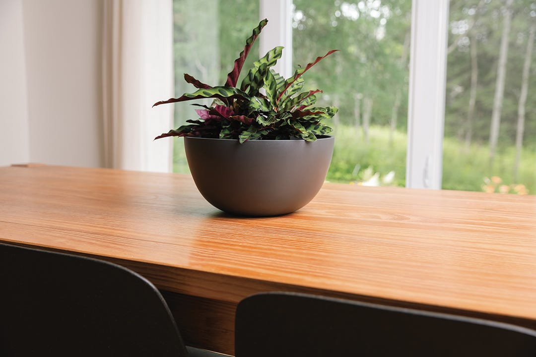 URBAN Bowl, 12 in.