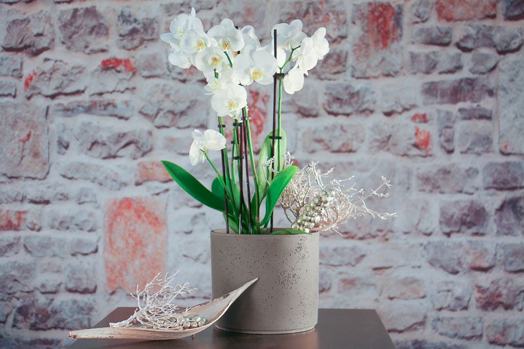 PILLAR UMBRA Pot, 17 Cm