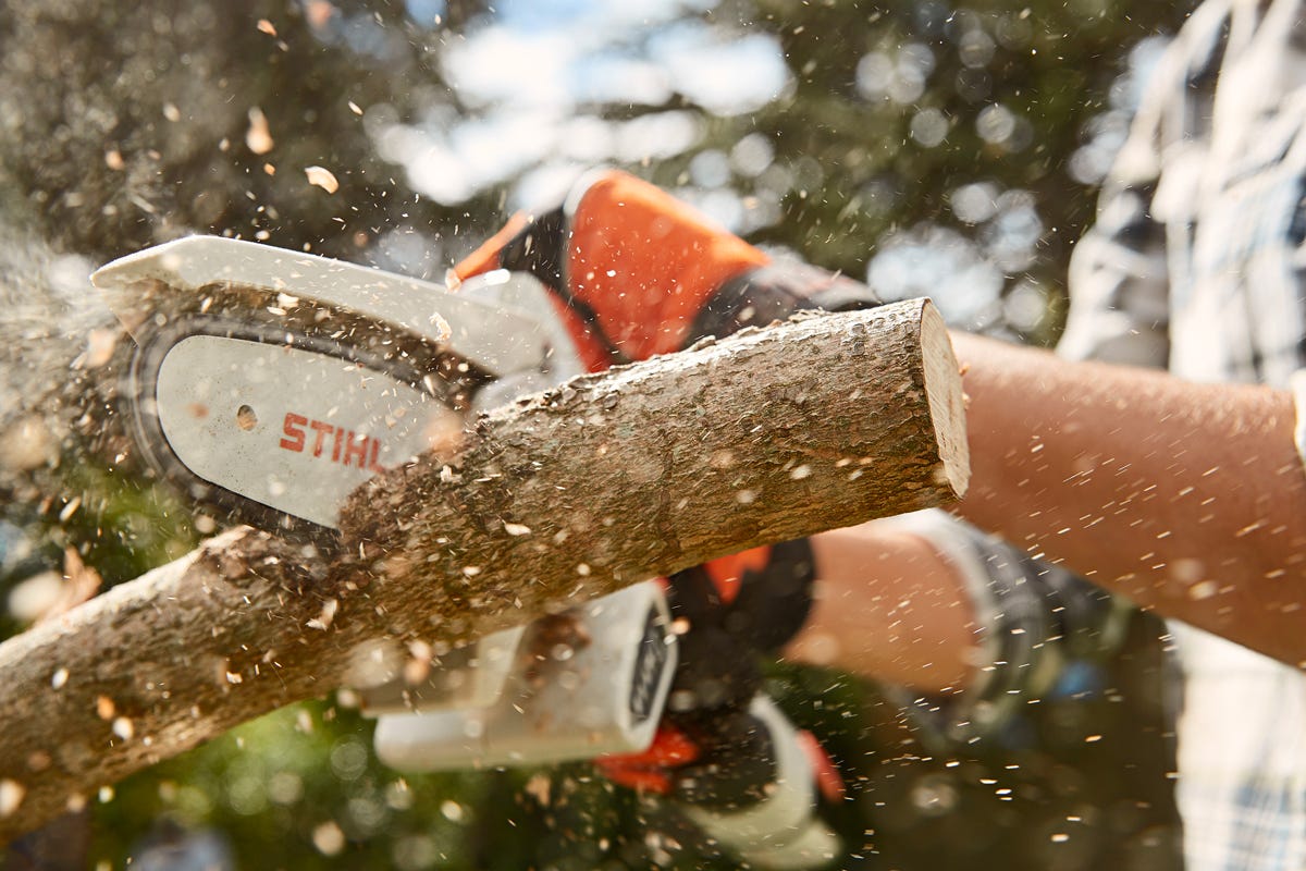 Cordless Pruning Saw Kit, 4 in., 10.8 V
