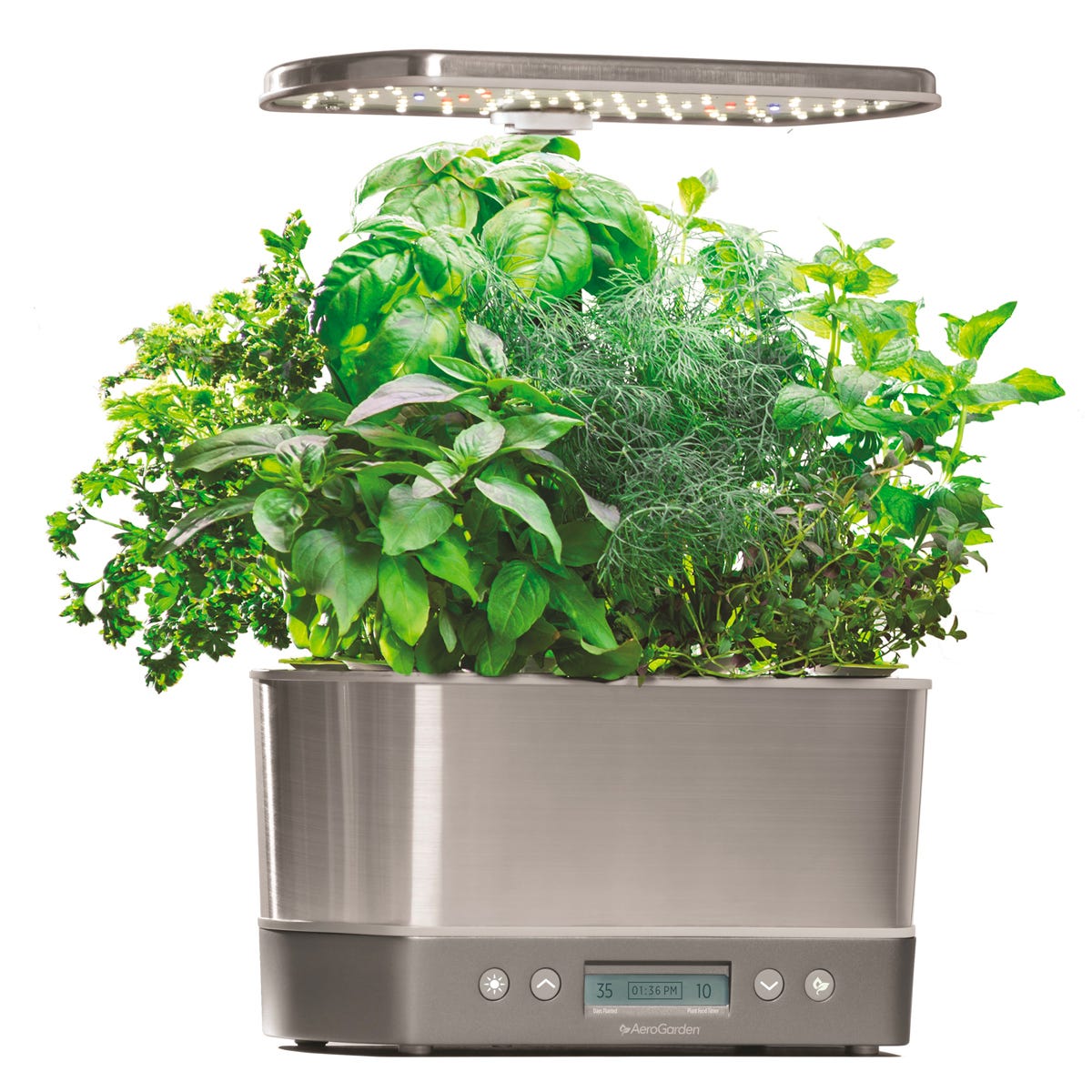 AEROGARDEN Hydroponic Garden, 6 Pods