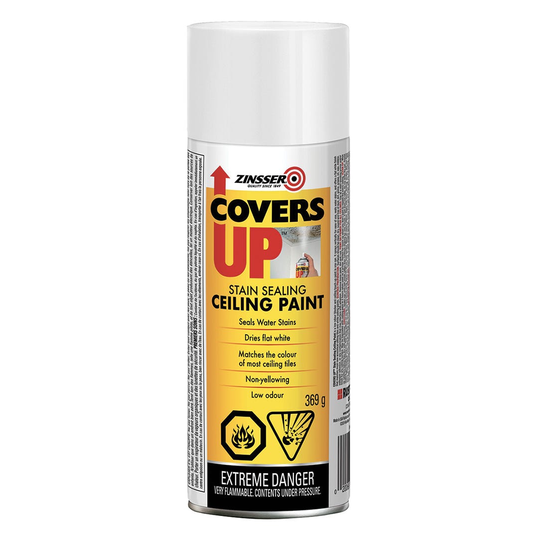 ZINSSER COVERS UP Ceiling Stain-Blocking Paint, 369 g, White