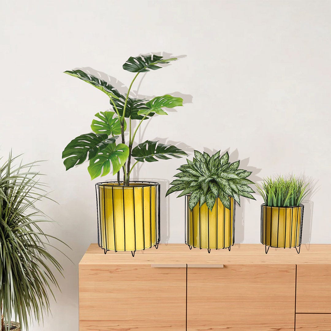 Set Of 3 Planters