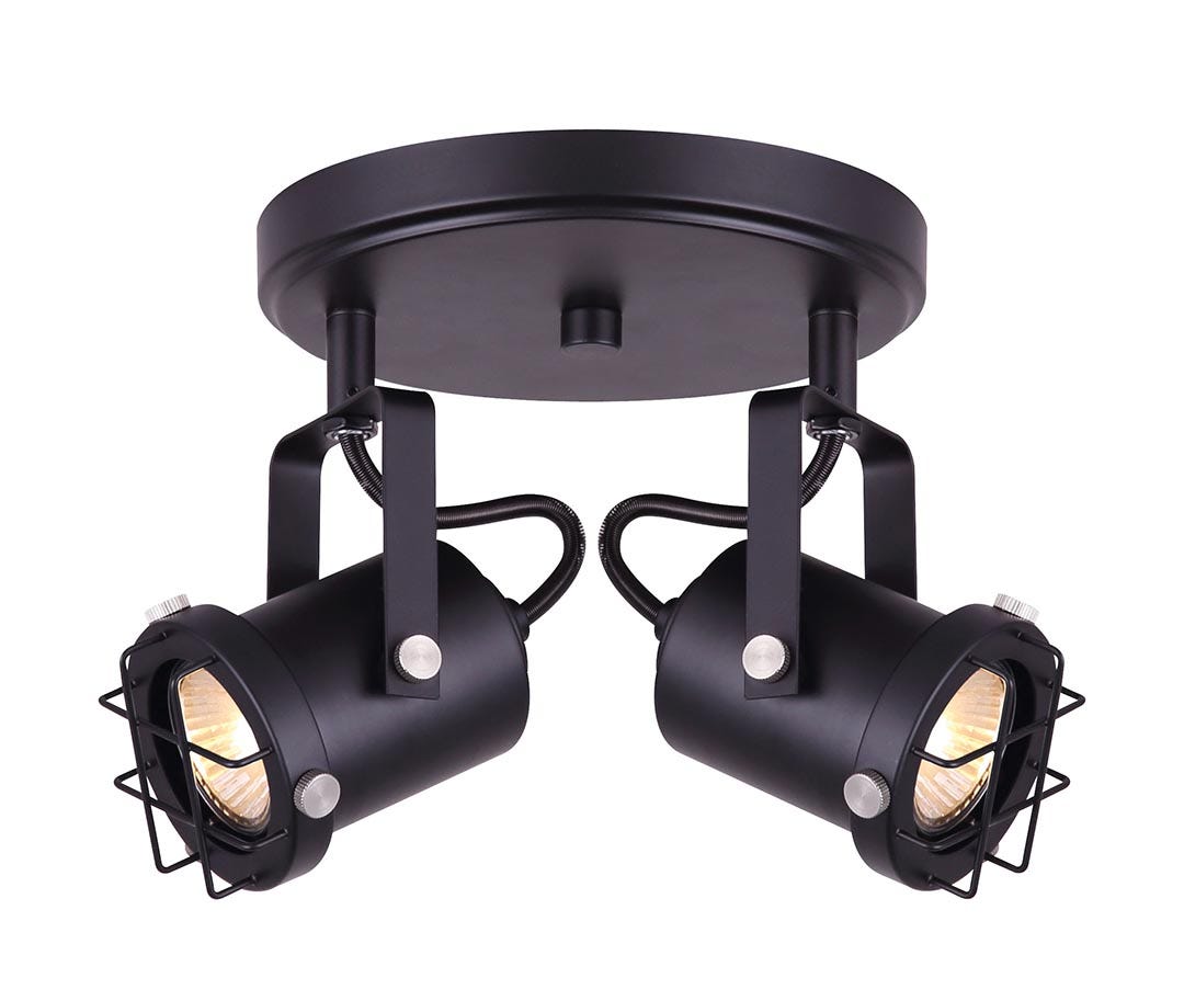2 head ceiling light