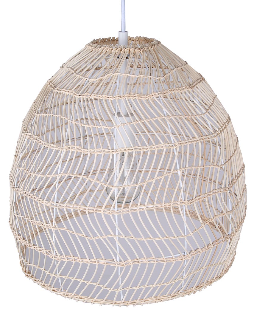 ALOCASIA 1-Light Pendant Light