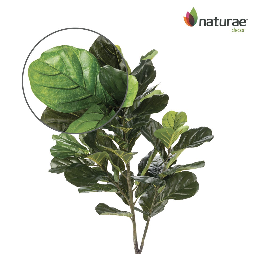 Artificial Ficus Lyrata In Black Pot, 49  in.