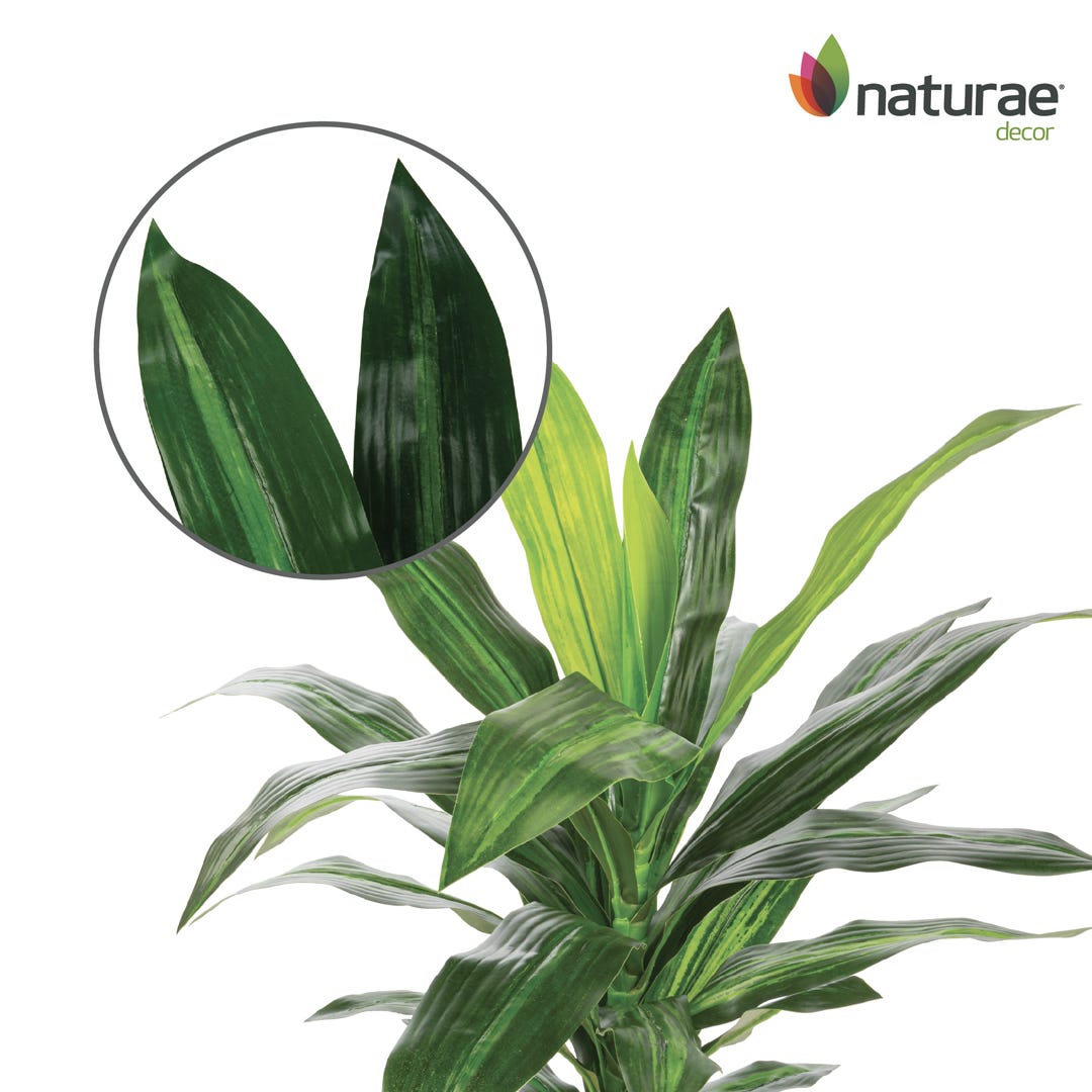 Artificial Dracaena In Black Pot, 25  in.
