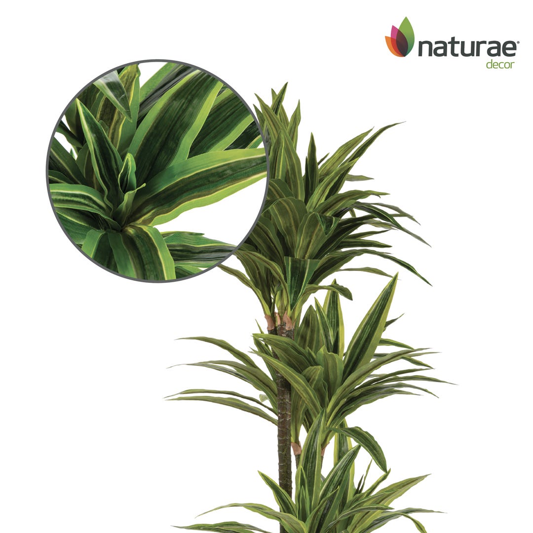 Artificial Dracaena In Black Pot, 47  in.