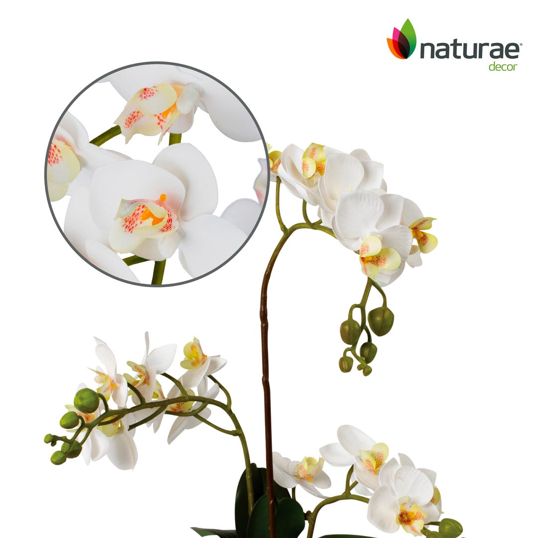 Artificial White Orchid In White Pot, 17  in.