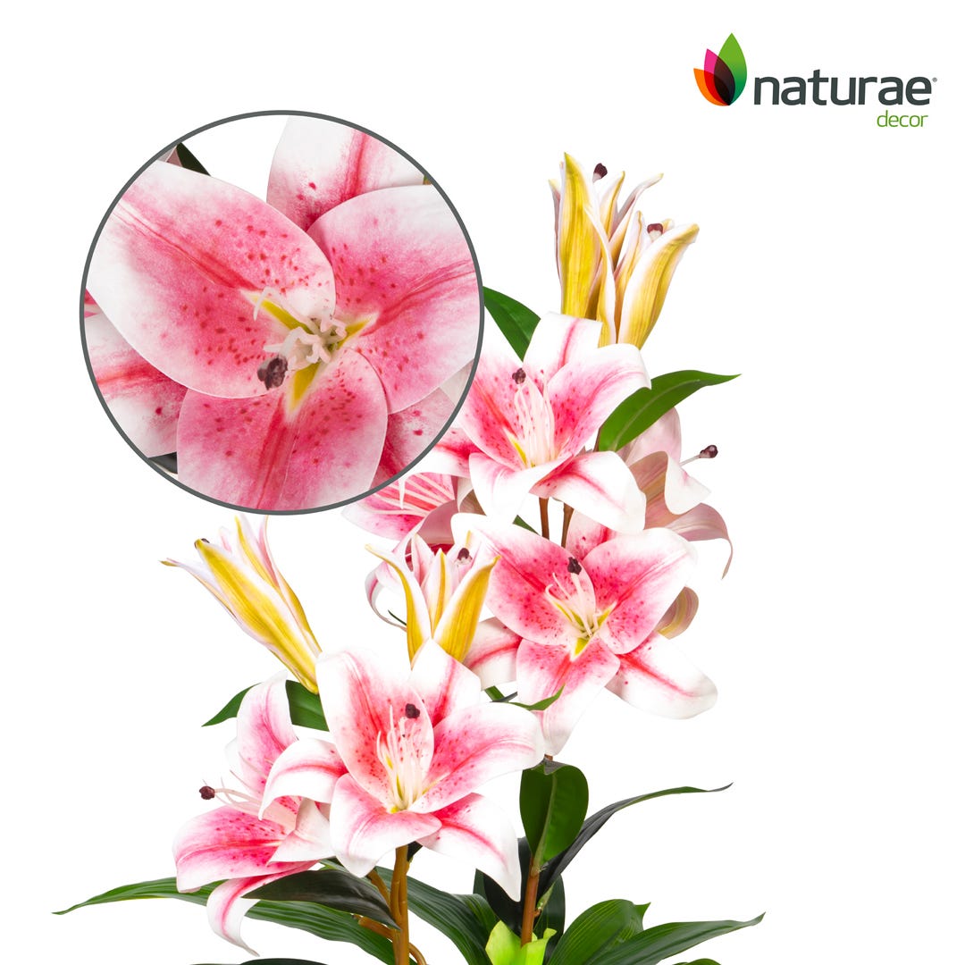 Artificial Pink Lily In Black Pot, 35  in.