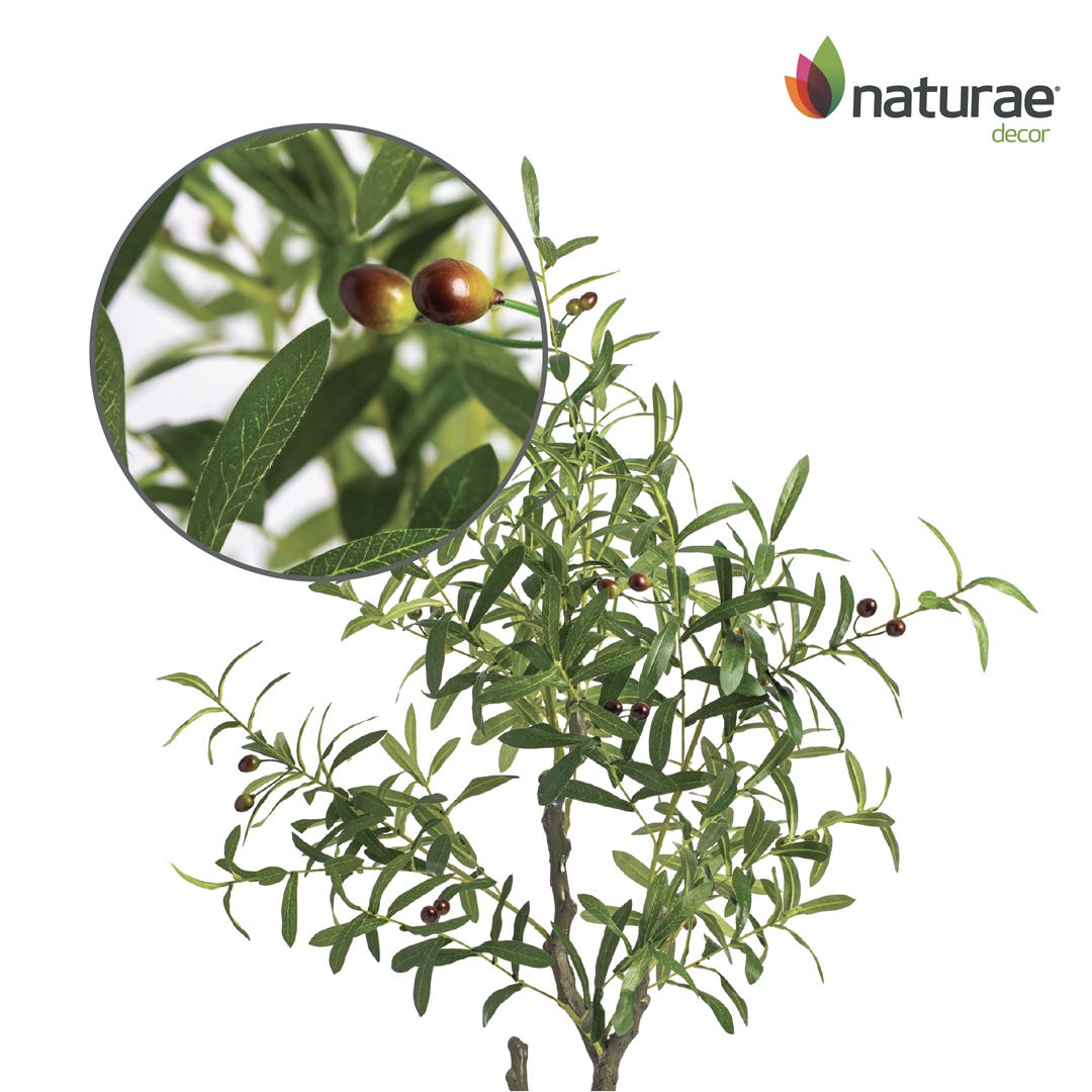 Artificial Olive Tree In Black Pot, 49  in.
