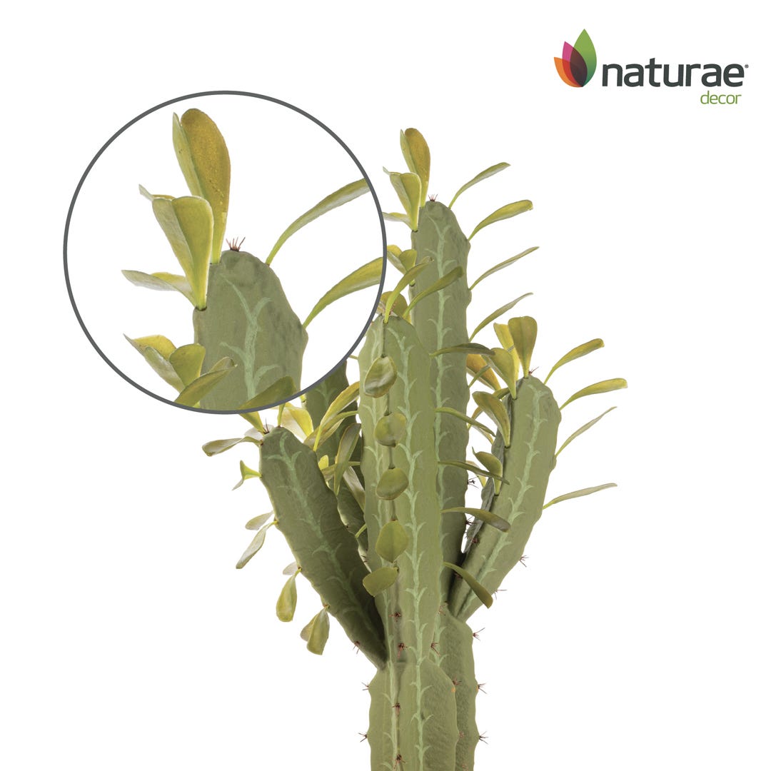 Artificial Candelabra Cactus In Terracotta Pot, 25  in.